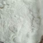 Testosterone Propionate